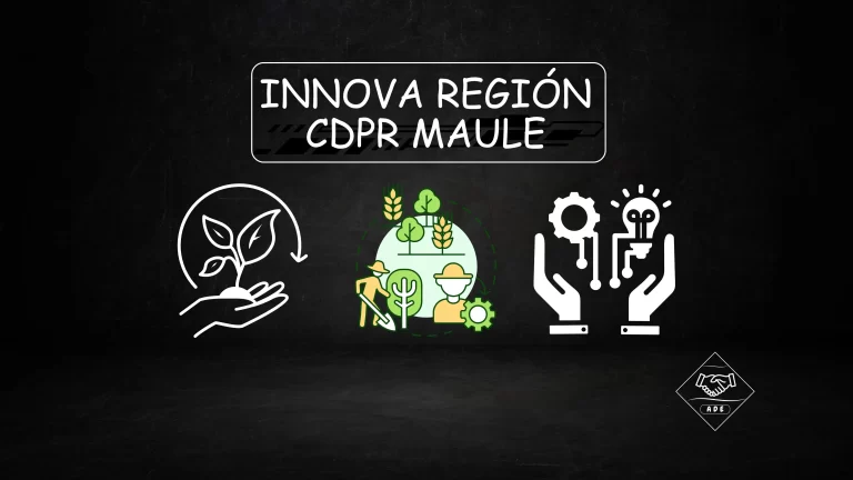 Innova Región - CDPR Maule