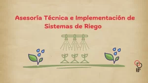 Nuestros Servicios